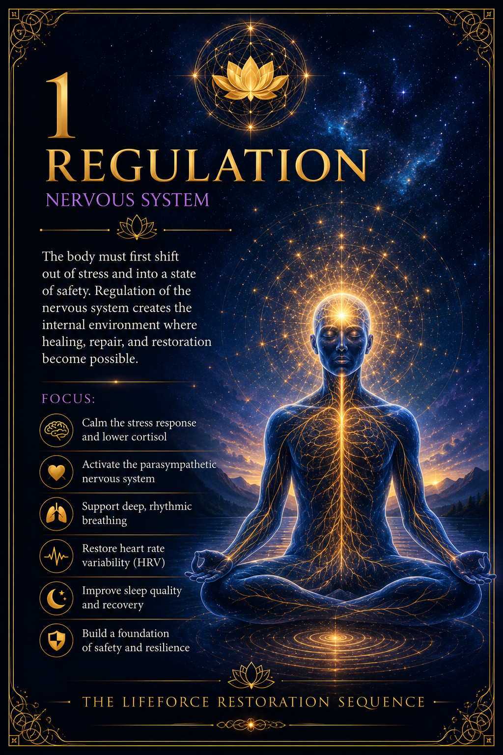 Phase One Regulation infographic explaining nervous-system support.